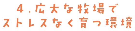 4. 広大な牧場でストレスなく育つ環境