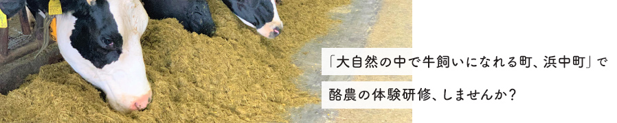 「大自然の中で牛飼いになれる町、浜中町」で酪農の体験研修、しませんか？